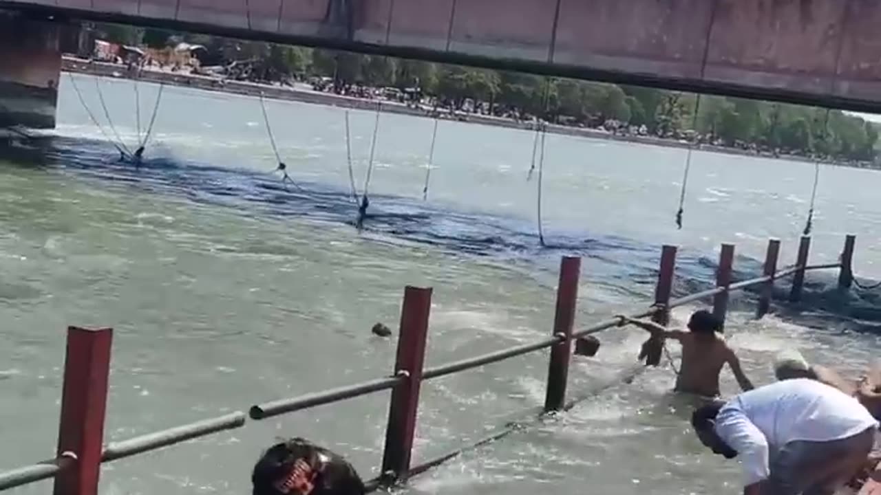 Coconut caught in river