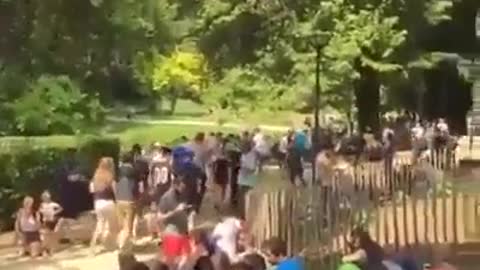 smartphone, it's all smartphone