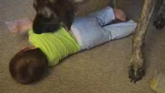 Watch what this Dog doing with the Baby