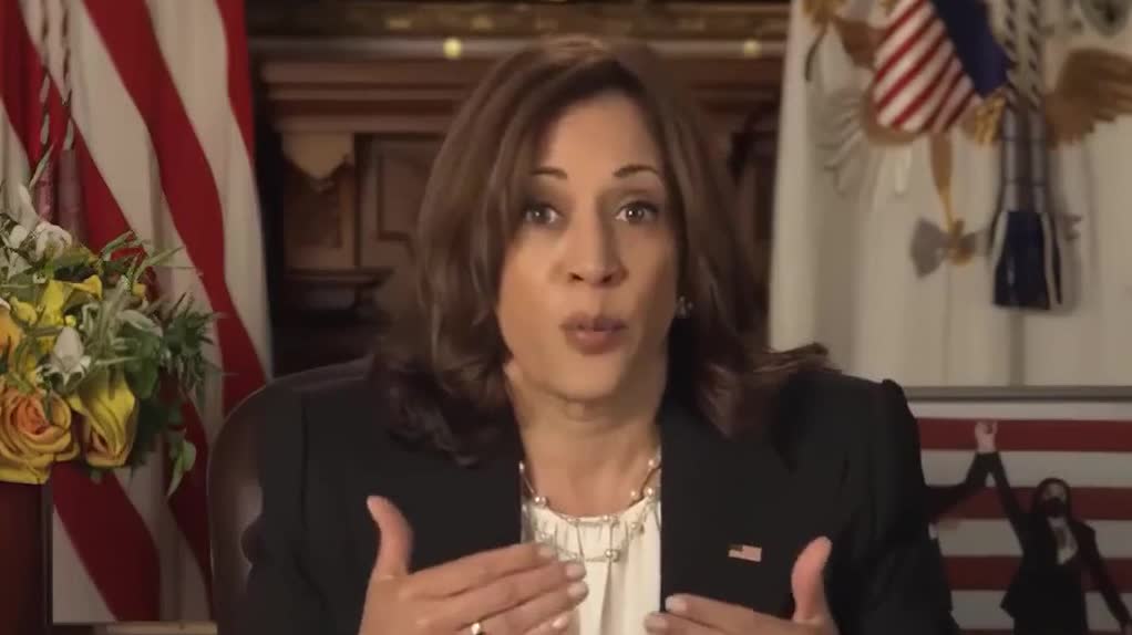 Kamala Harris - The Looney Tune VP Is At It Again!