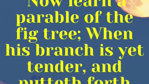 JESUS SAID...Now learn a parable of the fig tree; When his branch is yet tender