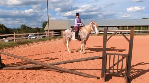 Shanti, beginner western, smooth bumpy ride