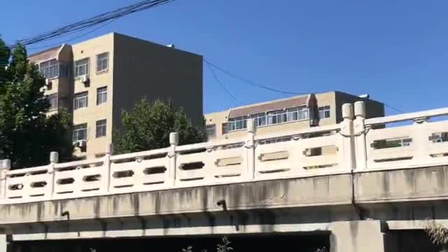 Under the blue sky , the bridge is sleeping, the river is singing, and the leaves are waving