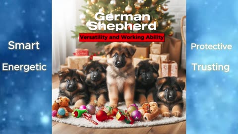 6 Puppy dog Breeds That Will Make Your Christmas Paw-fect!