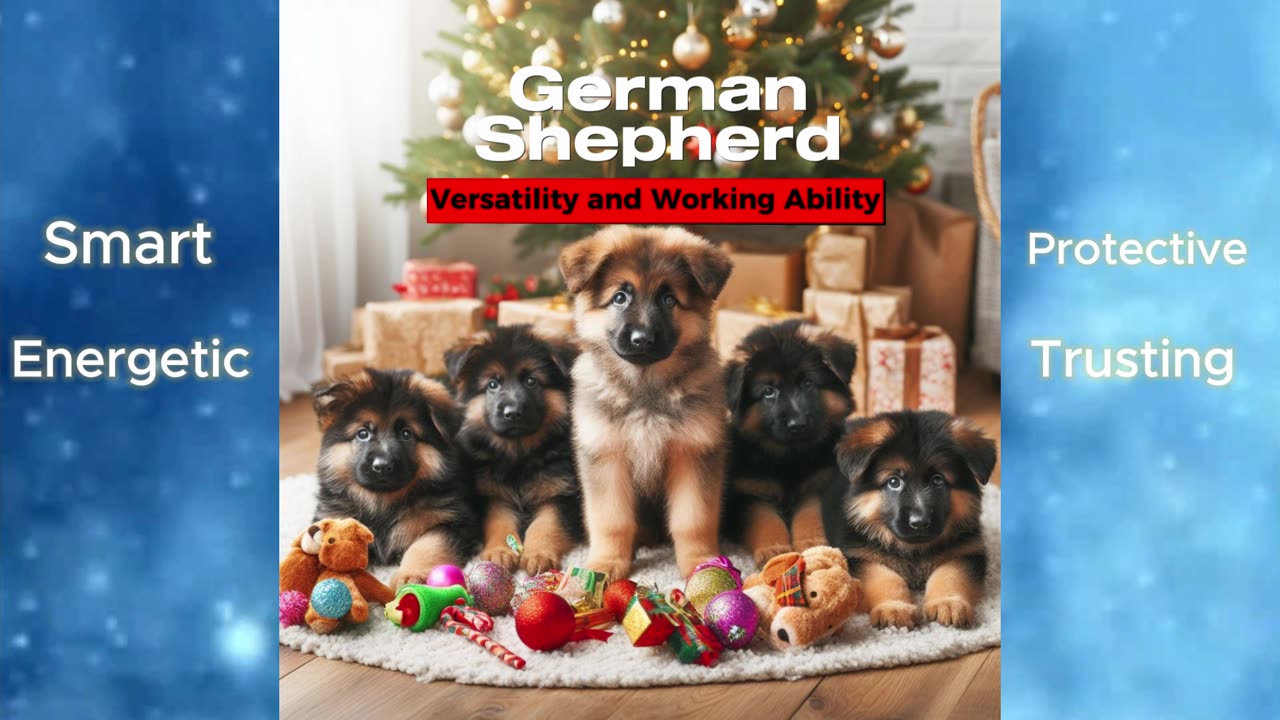 6 Puppy dog Breeds That Will Make Your Christmas Paw-fect!
