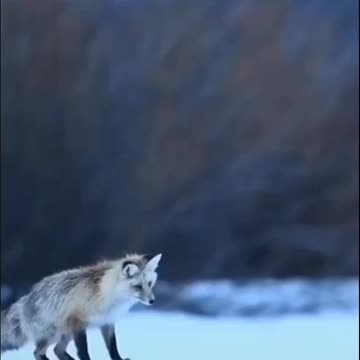 Cute, beautiful and amazing