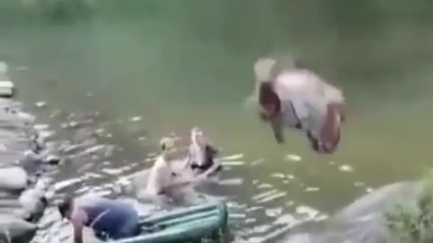 The worst dive in the world