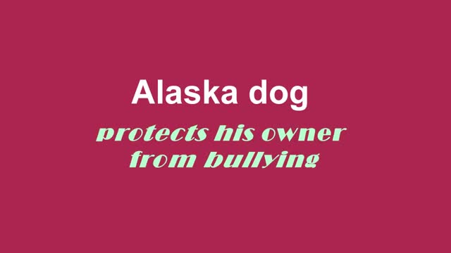 Alaska dog protects owner from fake bullying