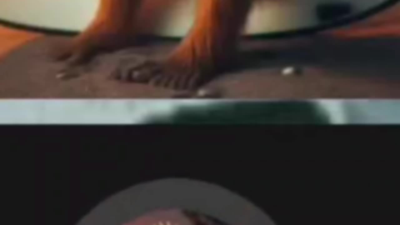 The M*th 🧊 || Extended Version #daily #funnymoments #best #viralshorts #trending #viral