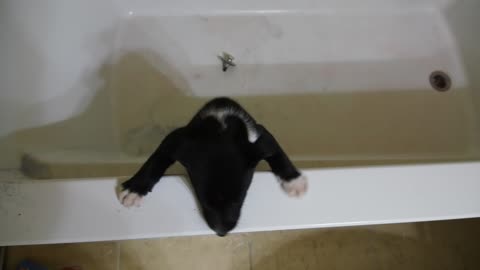 P9070010TUB