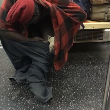 Man pulls down pants and checks leg on subway train