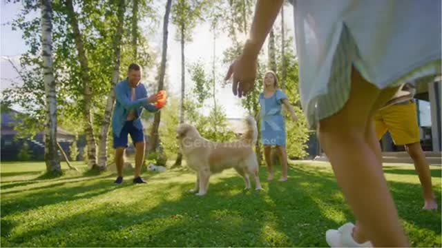 wow a beautiful dog playing with a family #shorts #trending #video #dog #viralshort #shortfeed