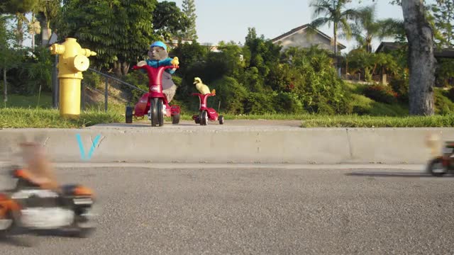 The Runaway Duck new