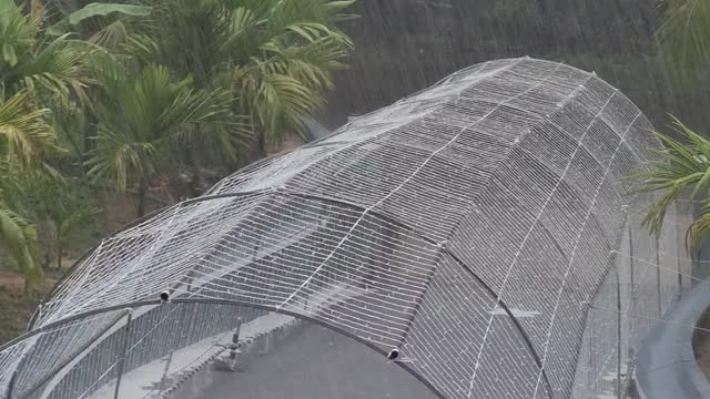 Heavy rainfall in jungle resort