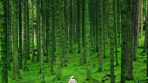 Relaxing Music | Sleeping, Meditation, Stress Relief | [203] ⭐️