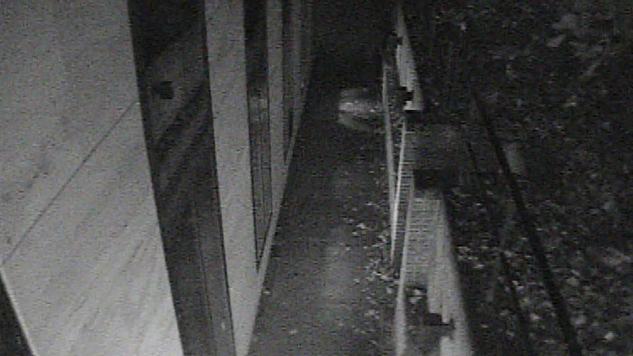 1457HSOB01GroundSoutheast_2021-01-06_05h13min03s277ms.mp4