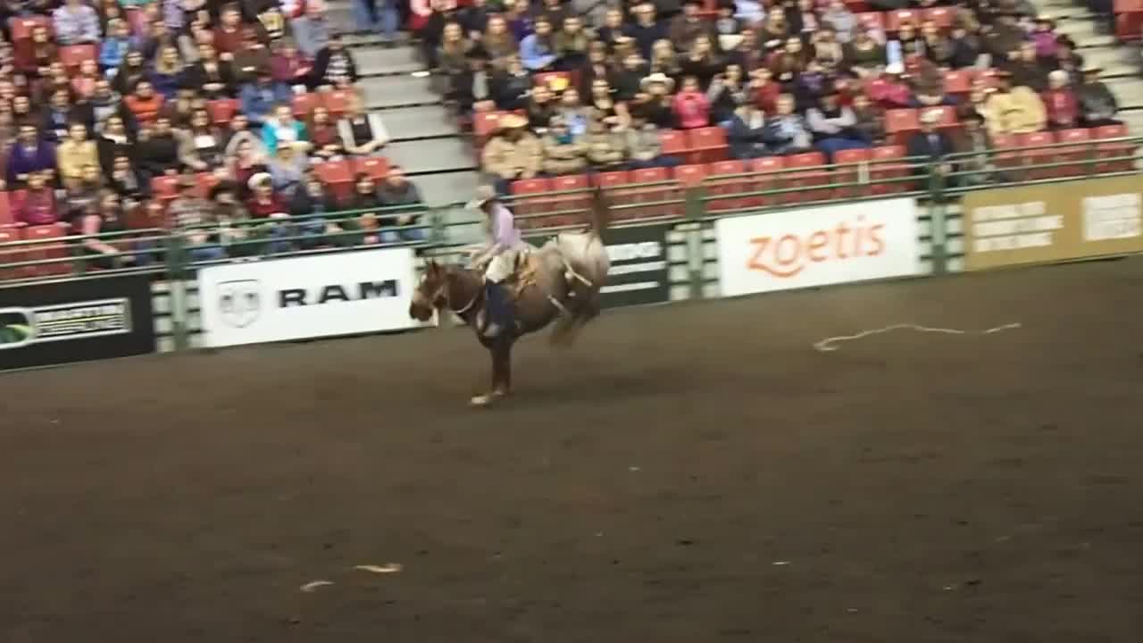 Heritage Ranch Rodeo at Farmfair International (Bronc Riding)