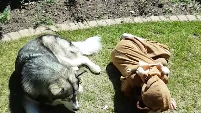 Dog and Daughter Train Together