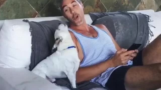 White dog hows with owner couch