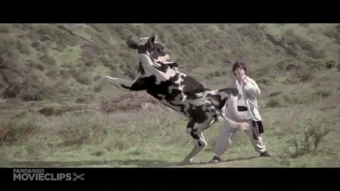 Cow Fight Kung Pow