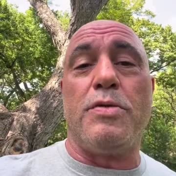 Joe Rogan Treated his Covid, Feels Great