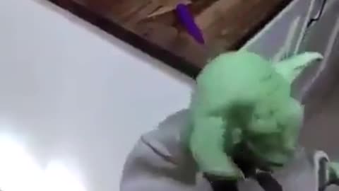 When play a game