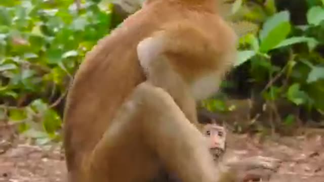 Lol! Rainbow is so adorable!