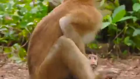 Lol! Rainbow is so adorable!