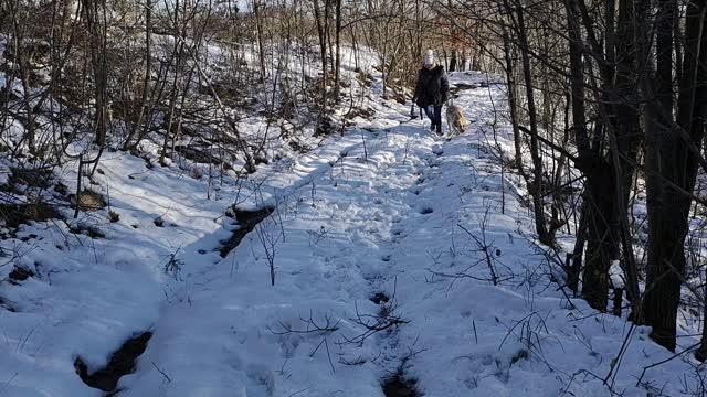 Impostare una linea con il back nel bosco