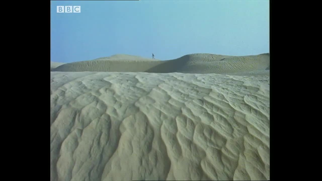 How Ants Use the Sun to Find Food | Trials of Life | BBC Earth