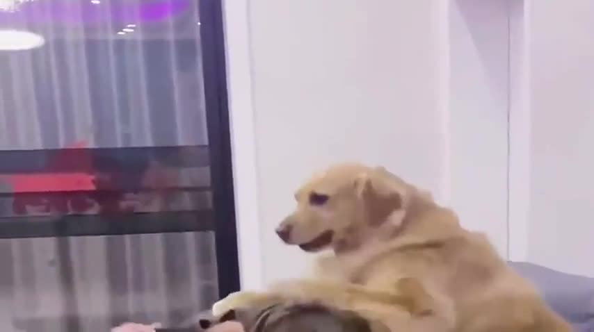 Who's The Boss