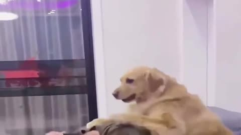 Who's The Boss