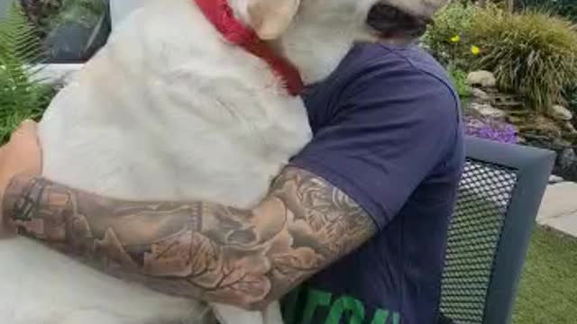 Puppy love