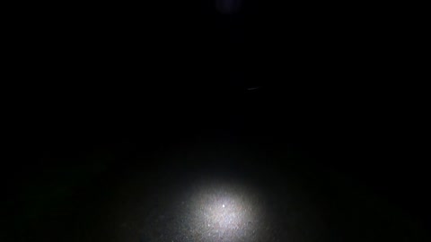 Night hiking Belever forest. Go pro. Vlog