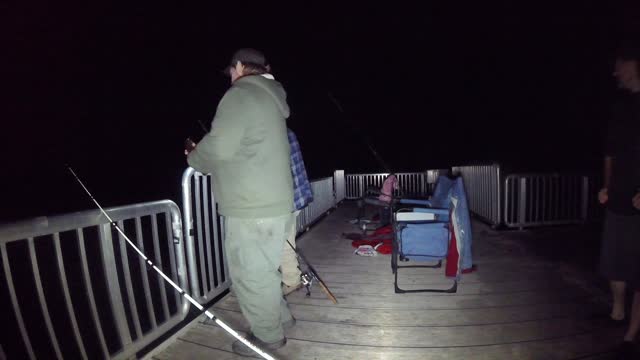 Multi Species fishing off A Dock in Arizona