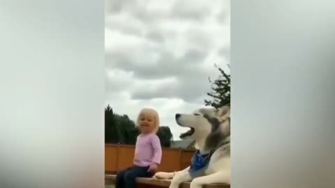 Dog and boy crying together, dog crying, boy crying, dog video