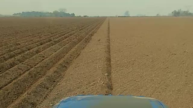 Sembrando papas en Santa Fe " Argentina "