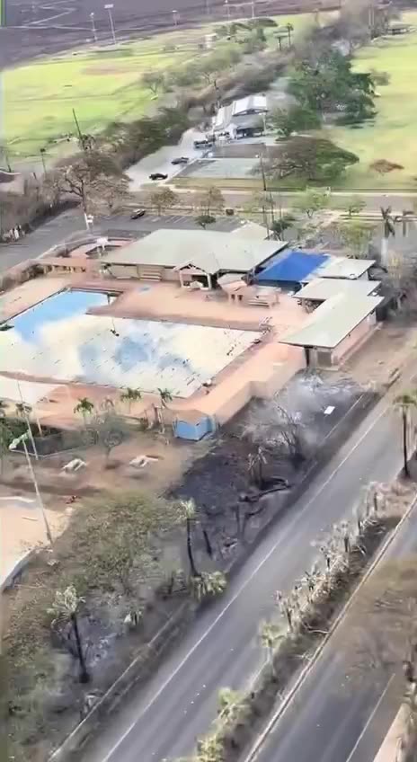 "Climate change" sure is smart: Maui fires seem to know how to avoid millionaire properties