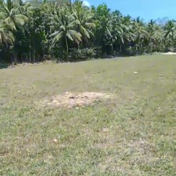 Peaceful place with beautiful natures 💖