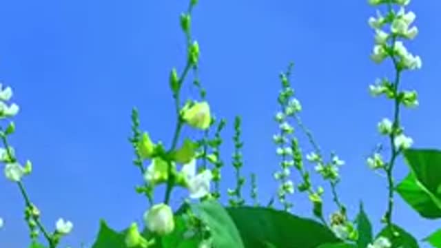 Try to be a warm person, not for great wealth, but for simple and happy life