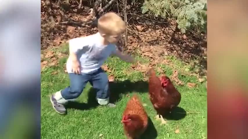 Children chicken