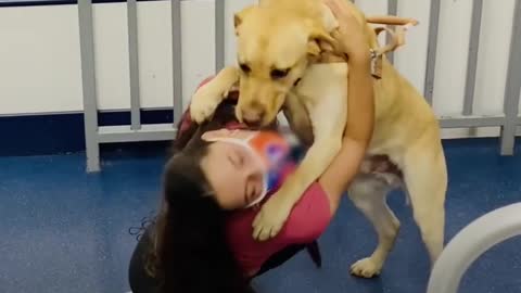 Loyal Dog Sits On Edge Of Swimming Pool While Mom Is At Practice