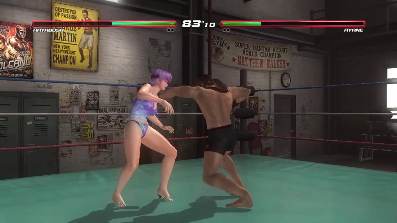 Hayabusa vs Ayane