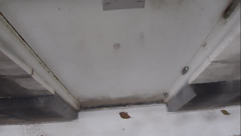 0921USCG00HT18Exterior_2021-01-06_12h20min01s810ms.mp4