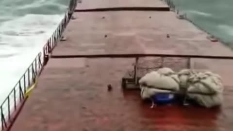 High Dangerous Waves Break Running Cargo Ship In Half