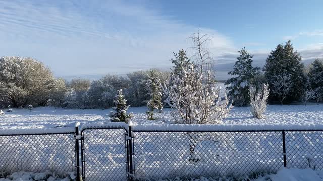 April 21 2021 waking up to snow