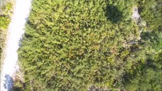 Weeki Wachee Preserve, Hernando County, Florida