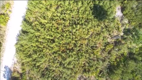 Weeki Wachee Preserve, Hernando County, Florida