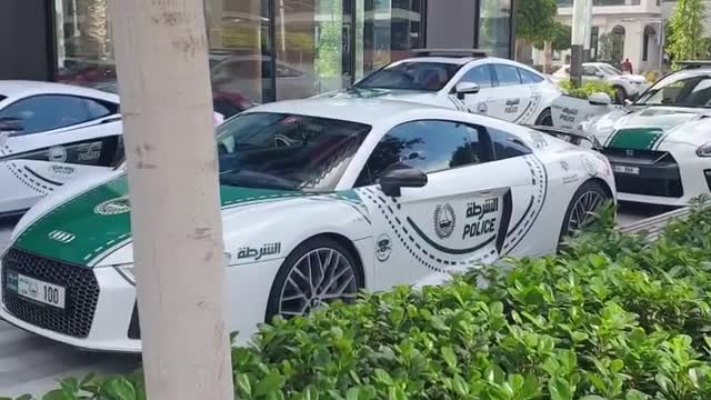 Super cars of Dubai Police