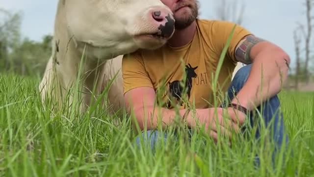 A dog is a cow, a cow is a dog